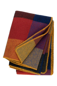 Checker Blanket